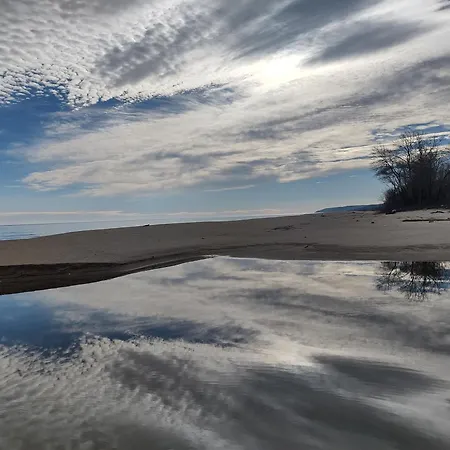 в Oasis Kamchia - стъпки в пясъка *