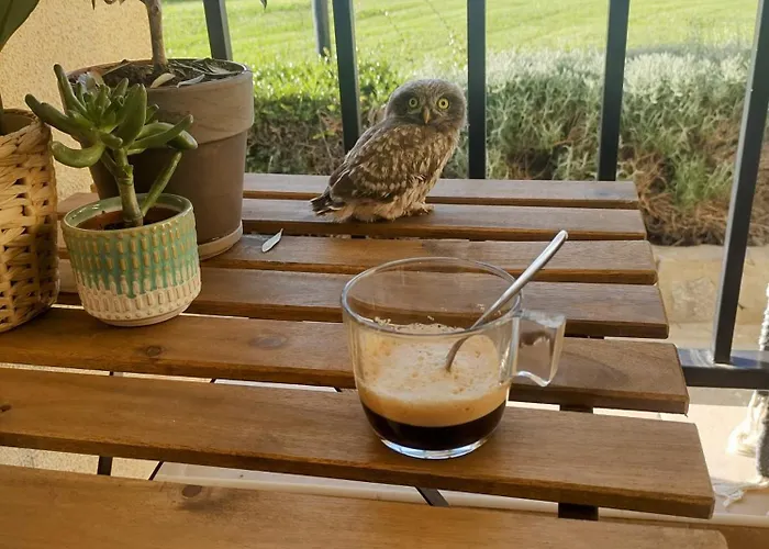 в Oasis Kamchia - стъпки в пясъка Kamchia (Varna)