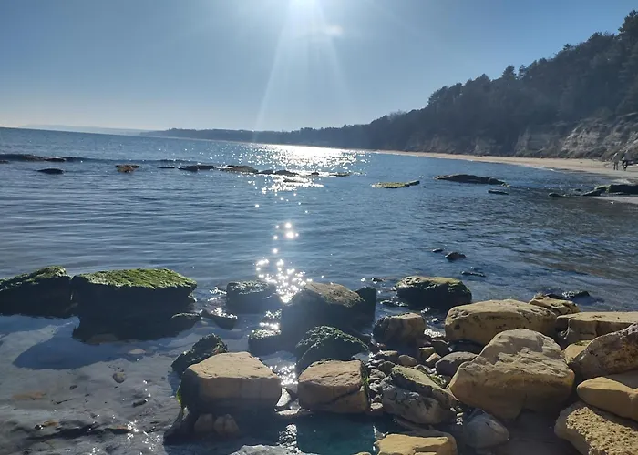 в Oasis Kamchia - стъпки в пясъка *